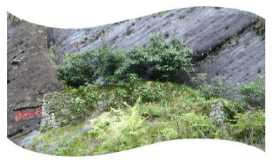 http://nakedeyeview.com.my/adventures/Wuyishan/images/WS24.jpg